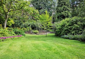 Optimiser l'expérience du jardin à Dolancourt